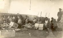 אריזת התפוזים על הקרקע , שנות השלושים