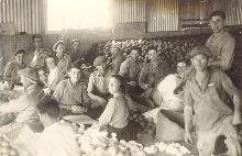 אריזת התפוזים על הקרקע , שנות השלושים