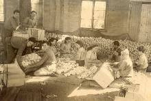 אריזת התפוזים על הקרקע , שנות השלושים