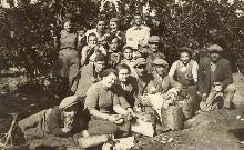 קבוצת קטיף בפרדסי מטעי א"י