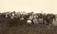 חריש לפרדסים בעין ורד