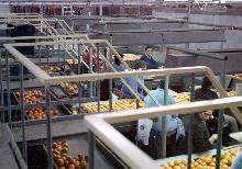 בית אריזה מתקדם