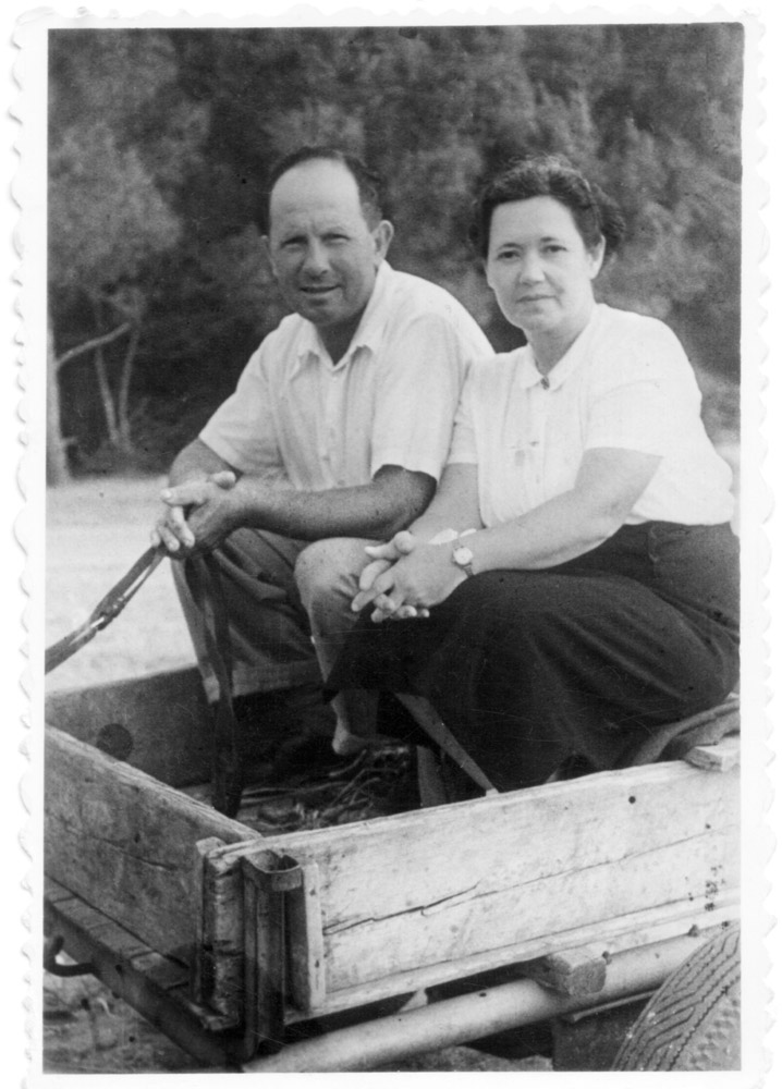 שושנה ושמשון קפלן